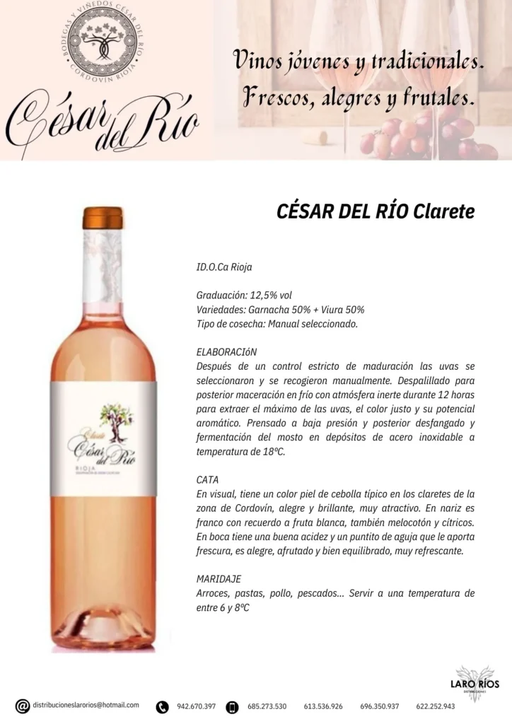 Cesar Del Rio Cordovin | DISTRIBUCIONES LARO RIOS SL